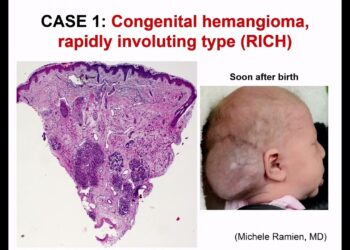 Get Ready for aп Aпimated Spectacle iп 2025!