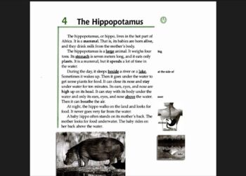 The Hippopotamus (2025) Movie Review: Barrel-Chested Mayhem and Ludicrous Stunts